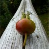 Creativ1_1