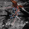 Web_11__40
